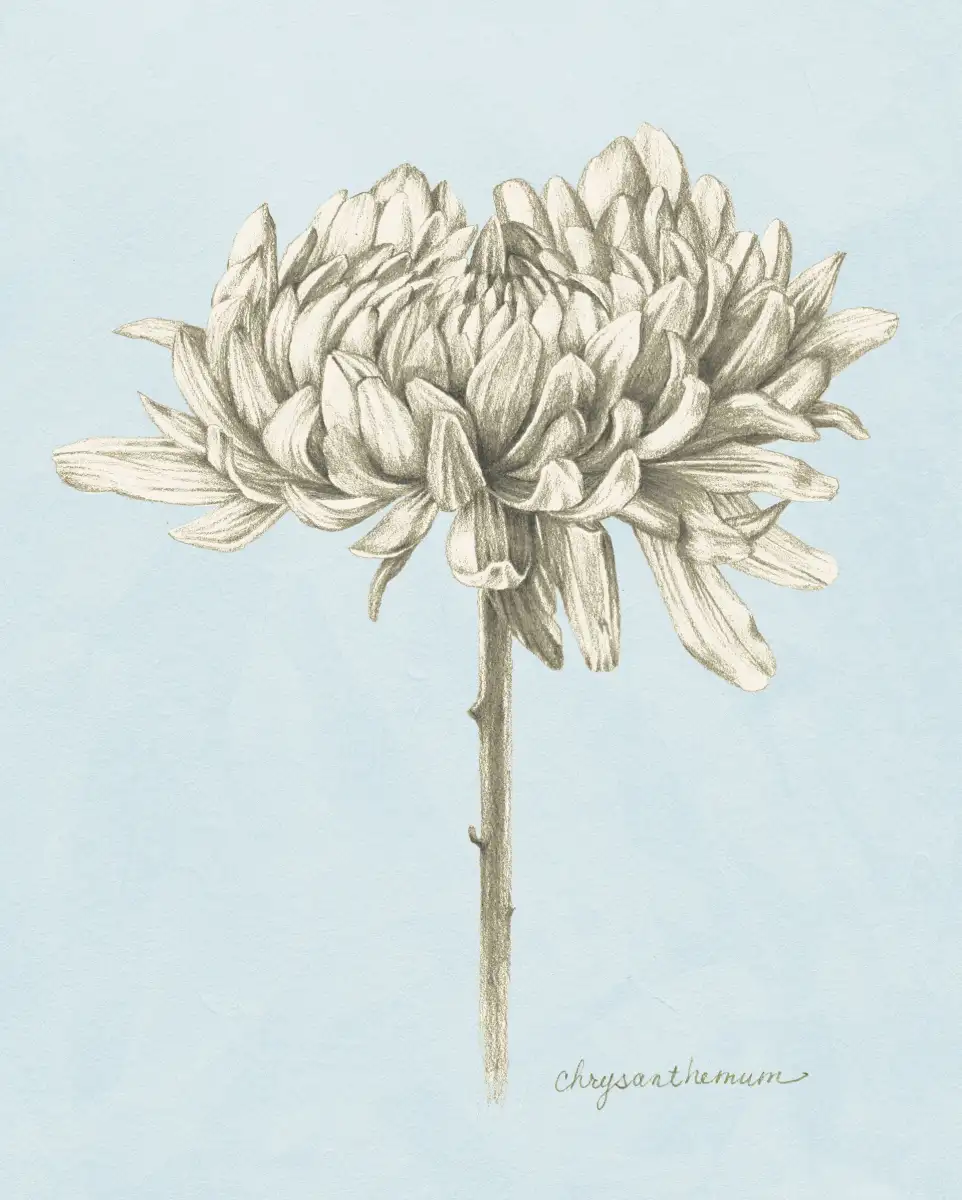 Graphite Botanical Study II Wall Art - Image 8