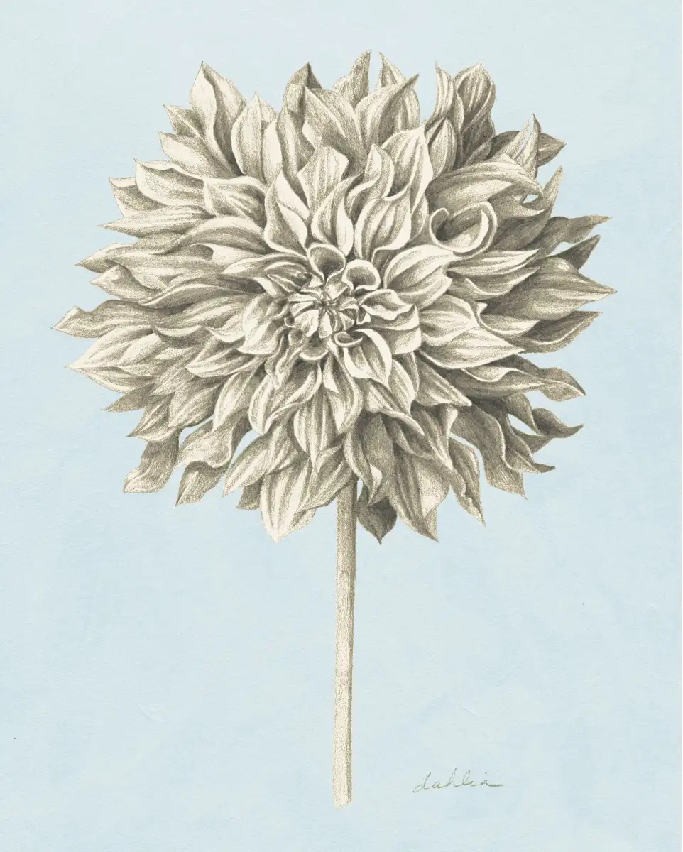Graphite Botanical Study III Wall Art - Image 9