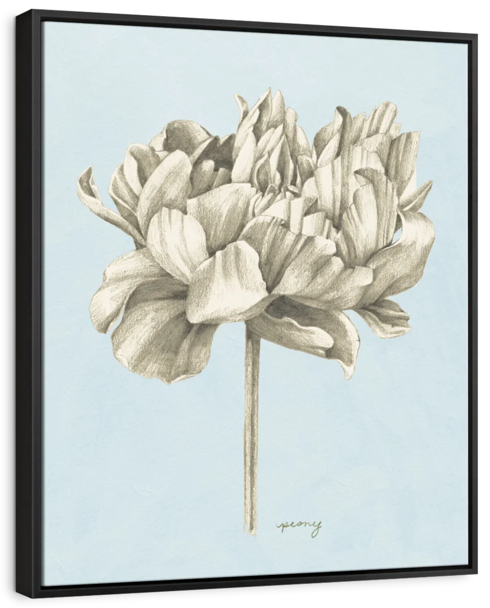 Graphite Botanical Study IV Wall Art - Image 6