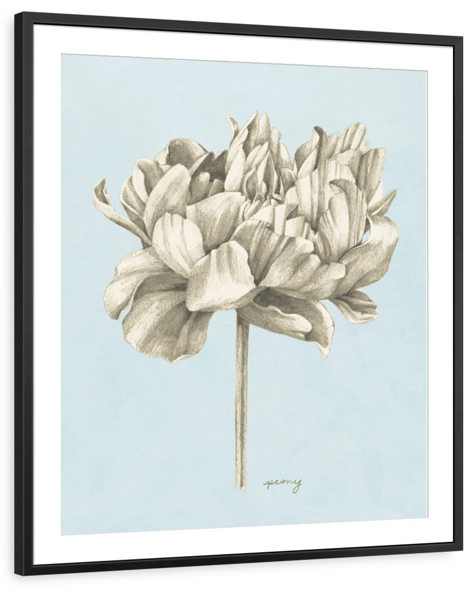 Graphite Botanical Study IV Wall Art - Image 7