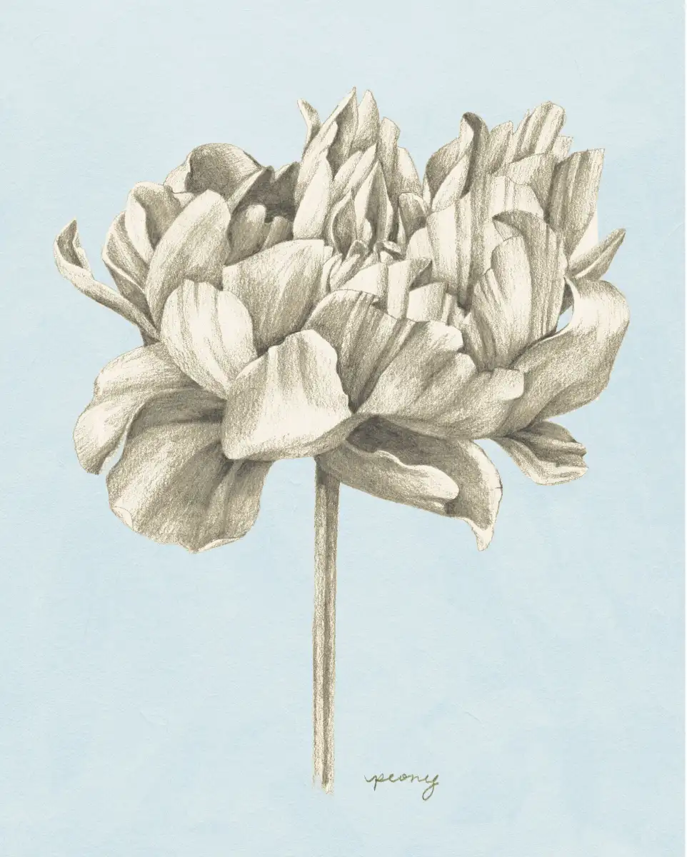 Graphite Botanical Study IV Wall Art - Image 9