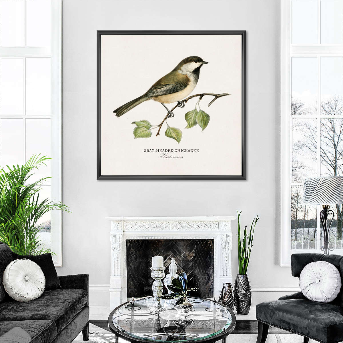 Gray Headed Chickadee Wall Art - Image 5