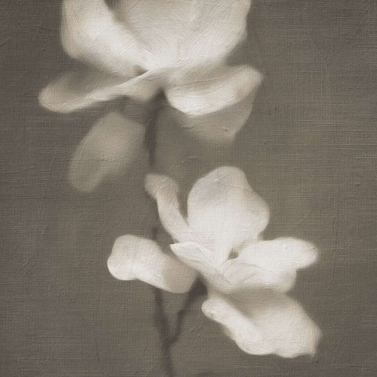 Hazy White Bloom Wall Art - Image 11
