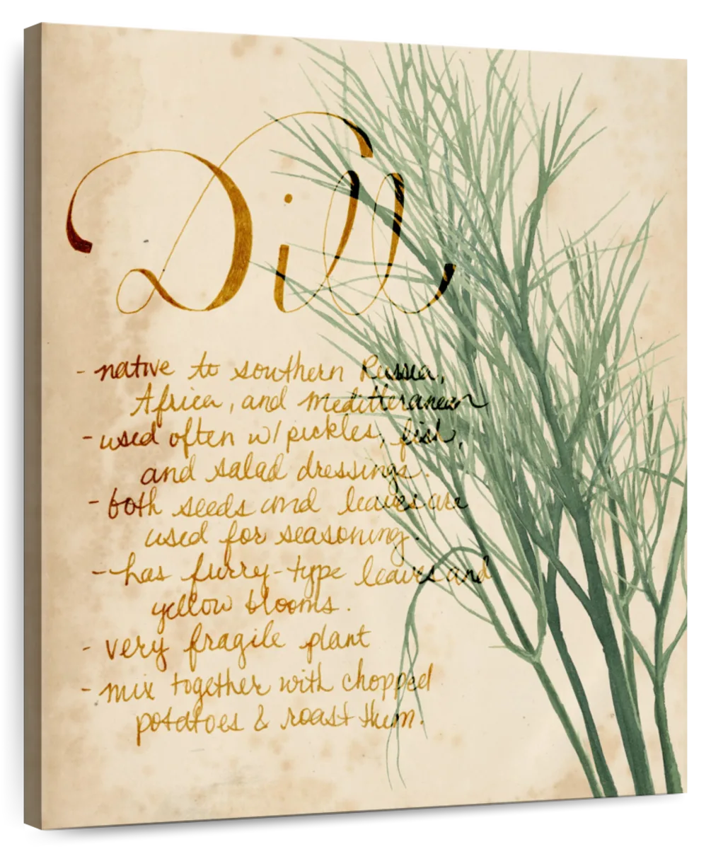 Herb Study II Wall Art - Image 2