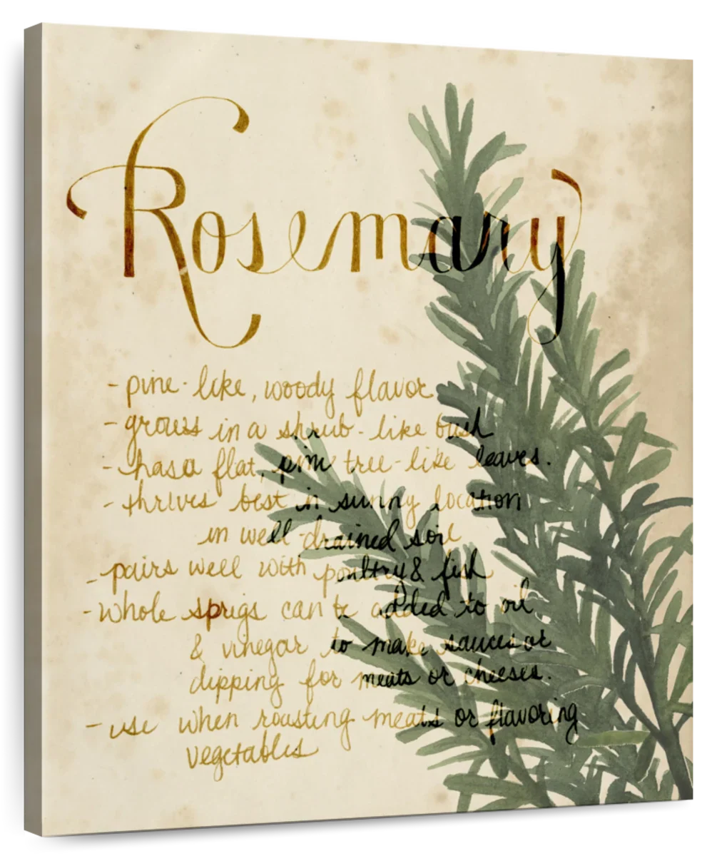 Herb Study IV Wall Art - Image 2