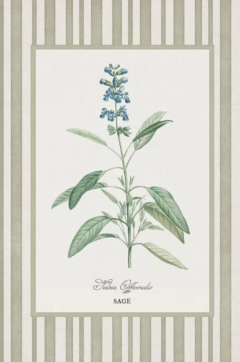 Herb Trio Print Wall Art - Image 16