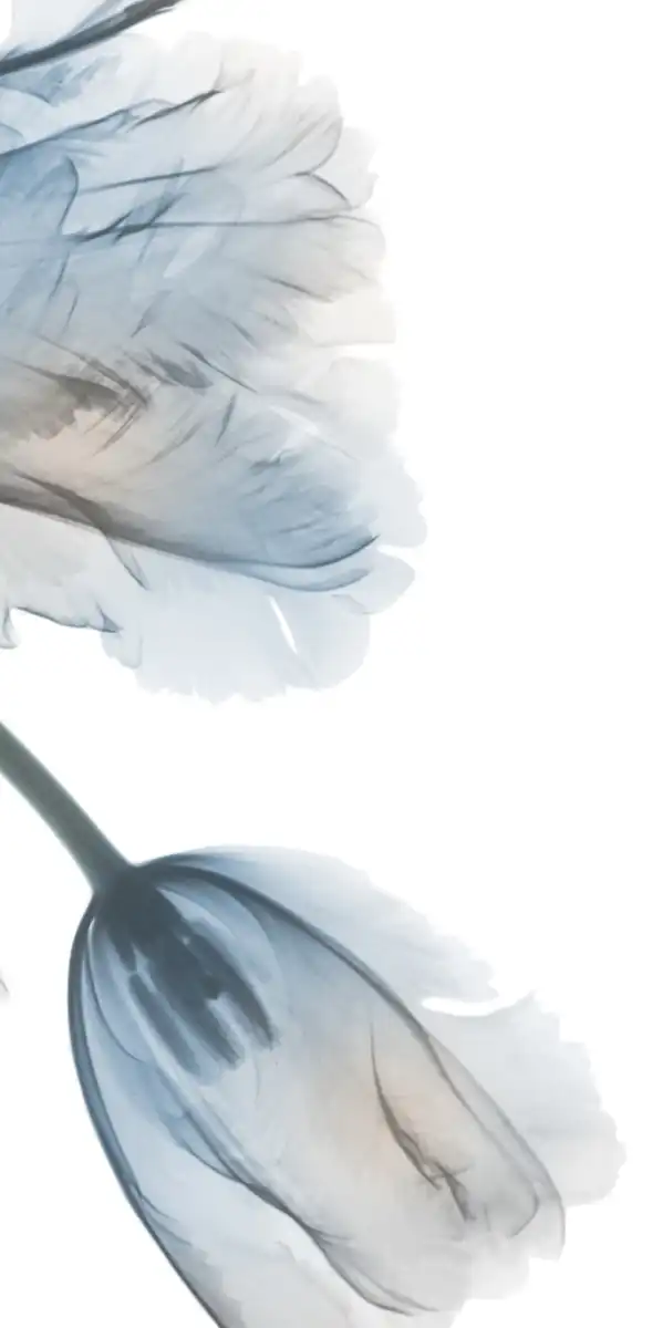 Iced Bloom I Wall Art - Image 19