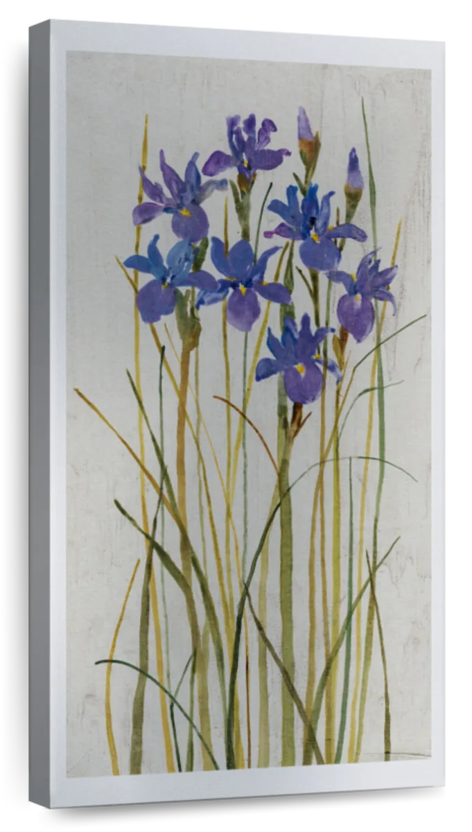 Iris Patch II Wall Art
