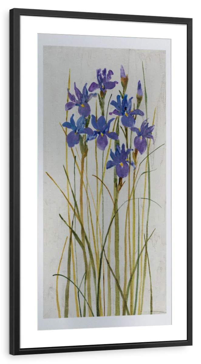 Iris Patch II Wall Art - Image 15