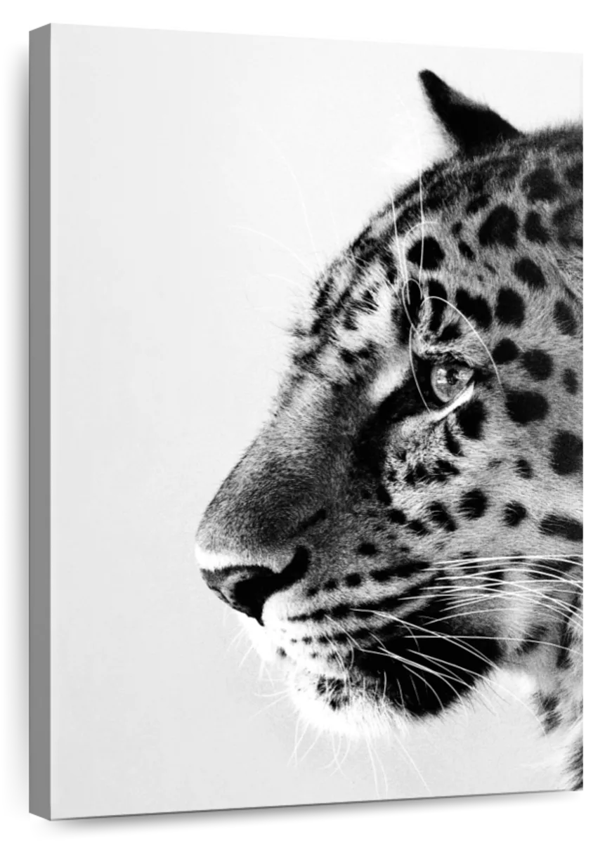 Leopard In Silence Wall Art