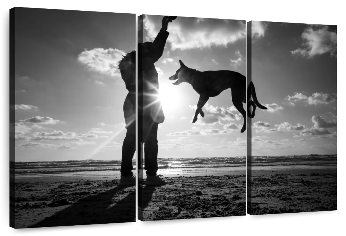 Levitation No. 2 Wall Art - Image 10