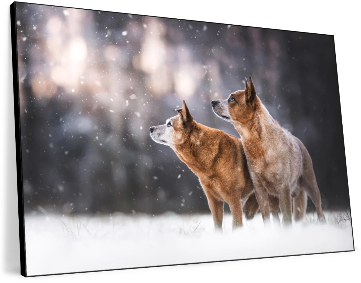 Lightly Snowing Wall Art - Image 8