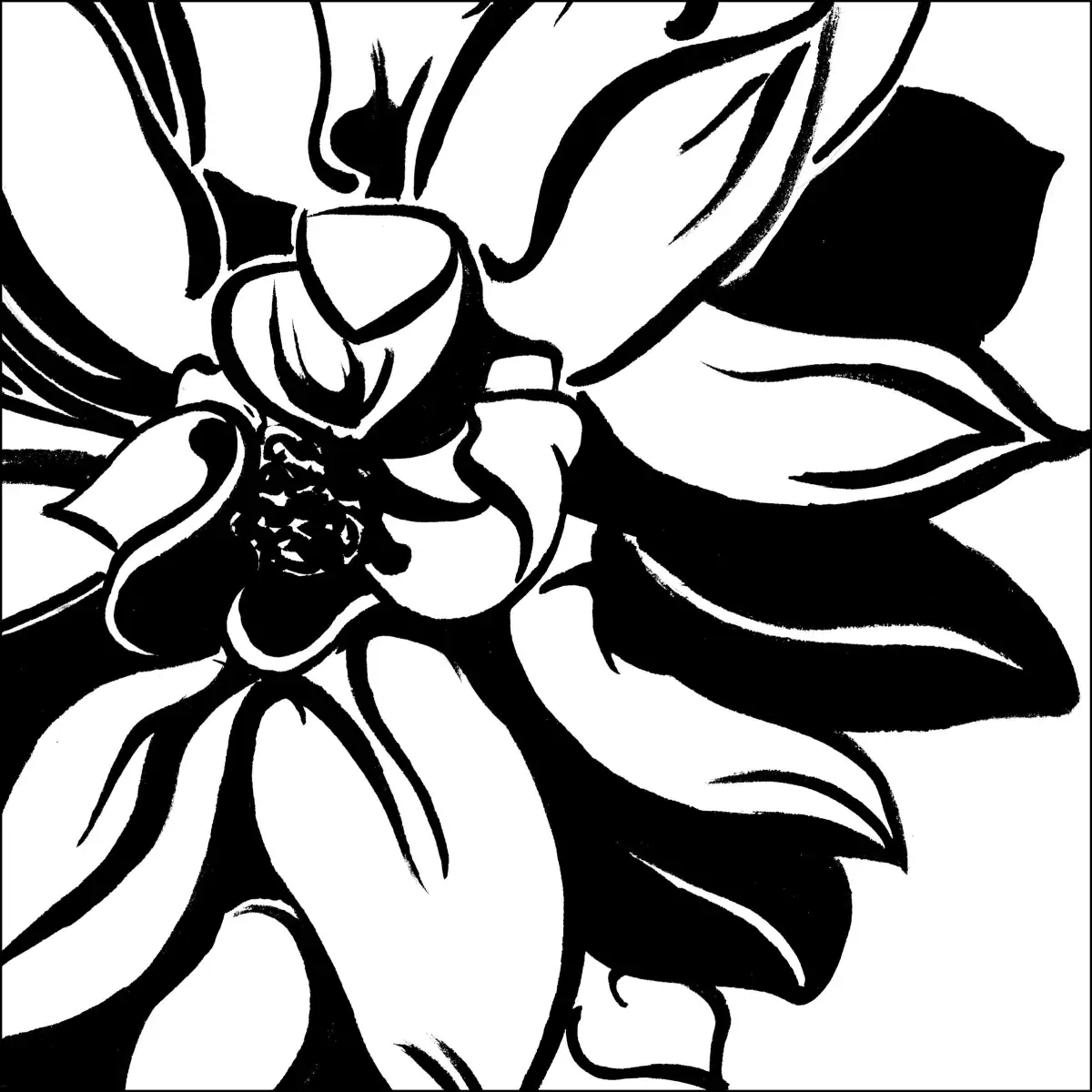 Mini Botanical Sketch III Wall Art - Image 19