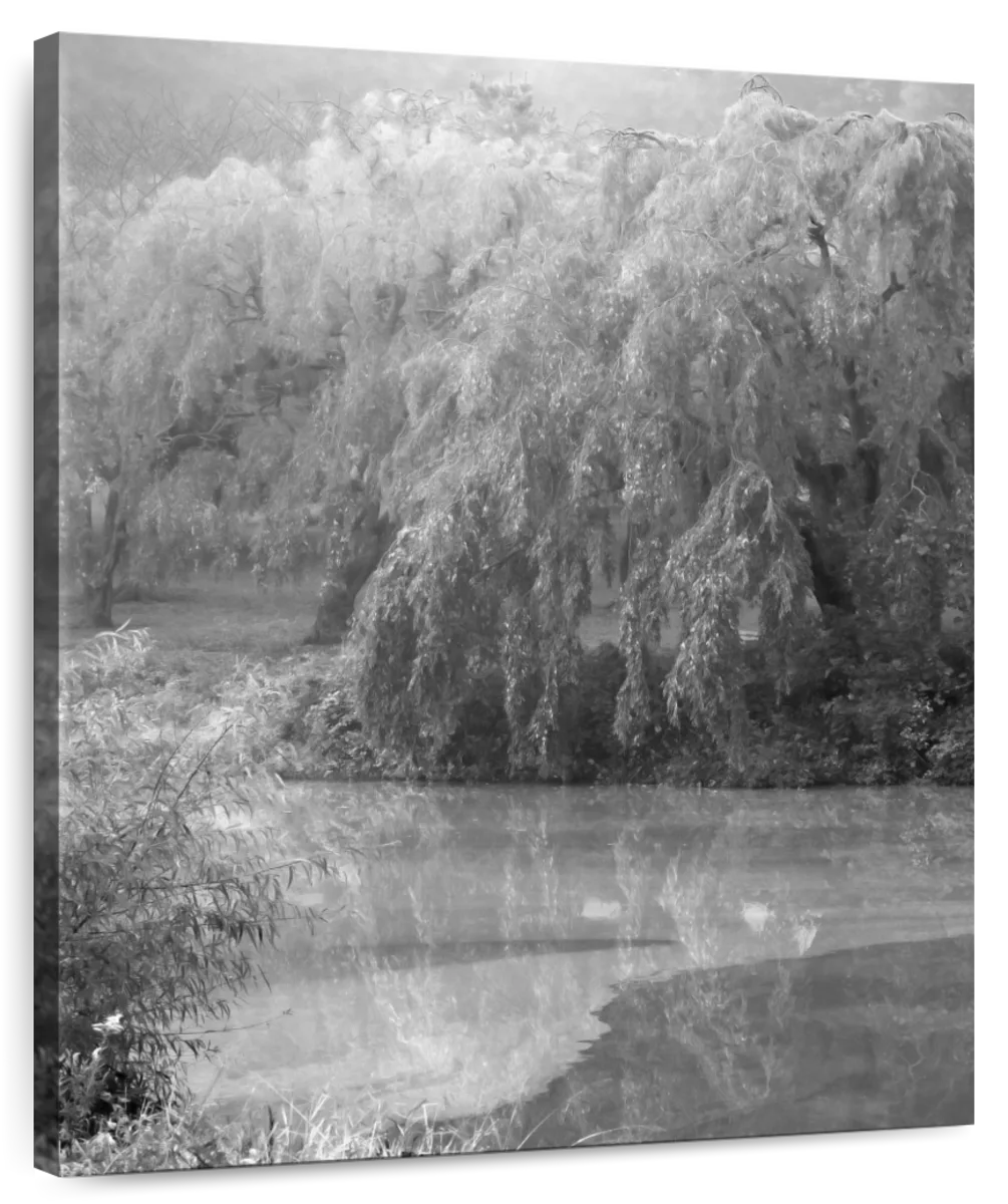 Misty Dreamscape No. 2 Wall Art