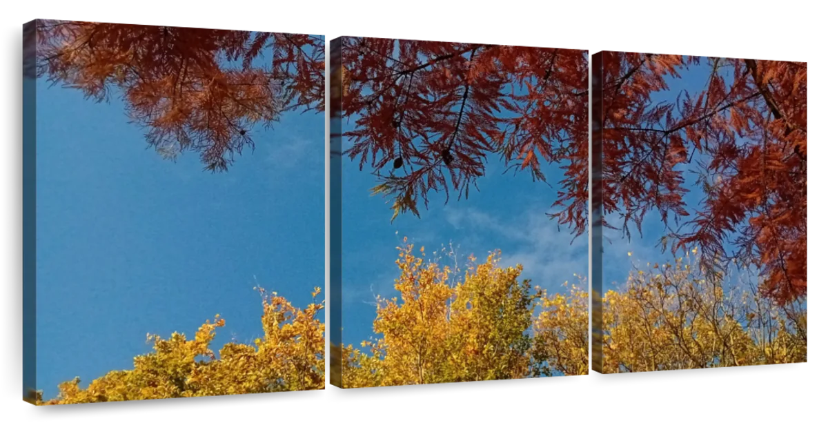 Mixed Autumn Canopy Wall Art - Image 9