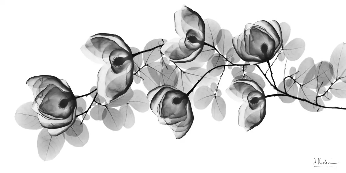 Modest Volume Wall Art - Image 14