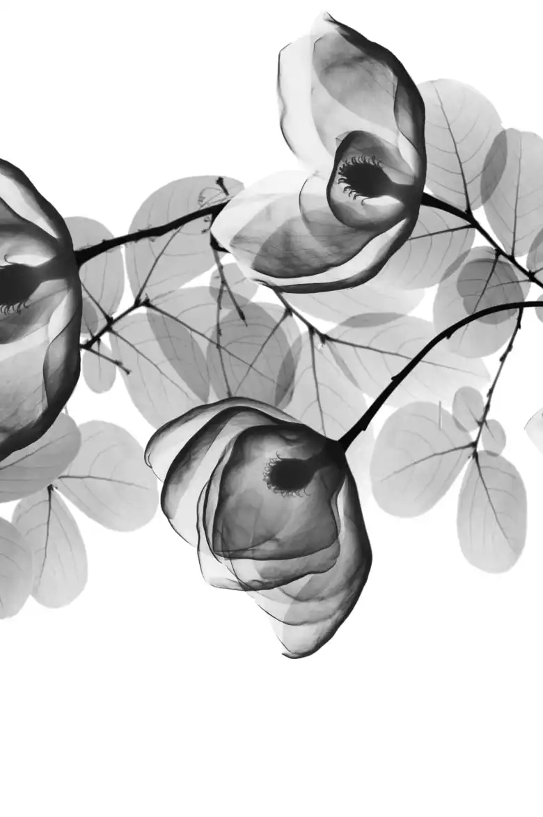 Modest Volume Wall Art - Image 16