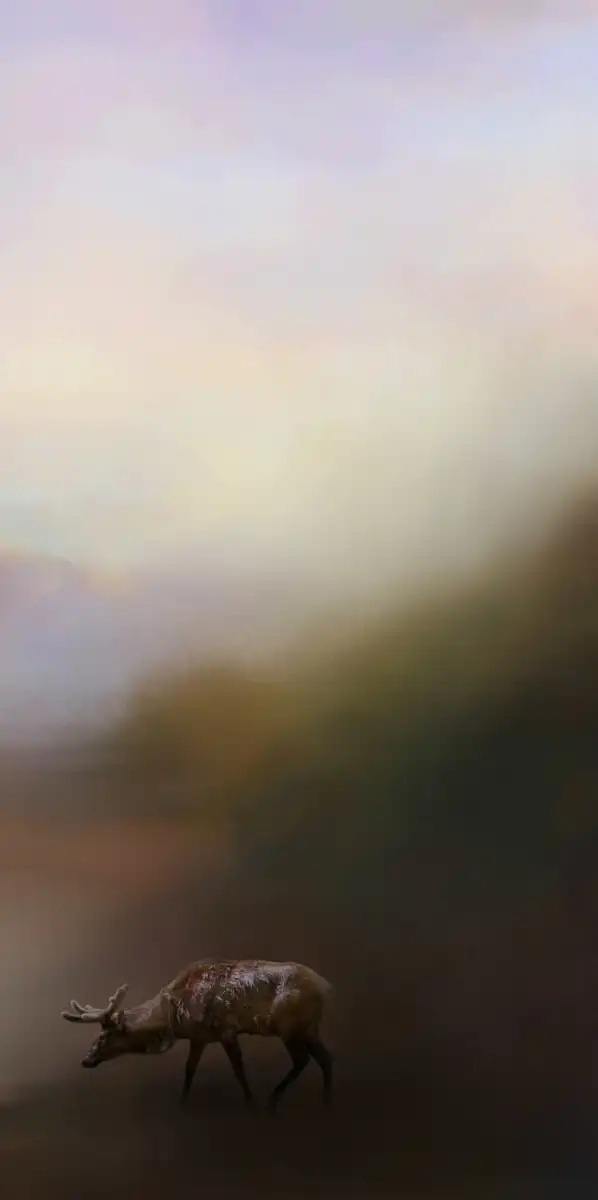 Morning At The Mountain Wall Art - Image 19