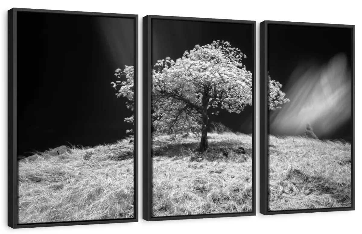 Mr. Lonely Wall Art - Image 10