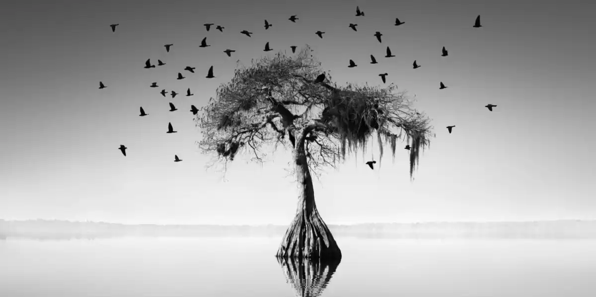 My Tree Wall Art - Image 13