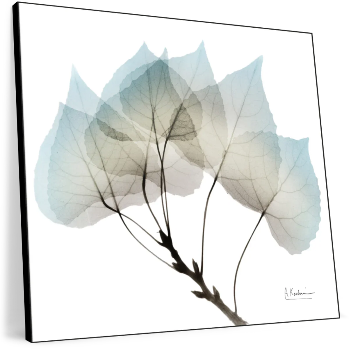 Natural Botanical Elements I Wall Art - Image 8