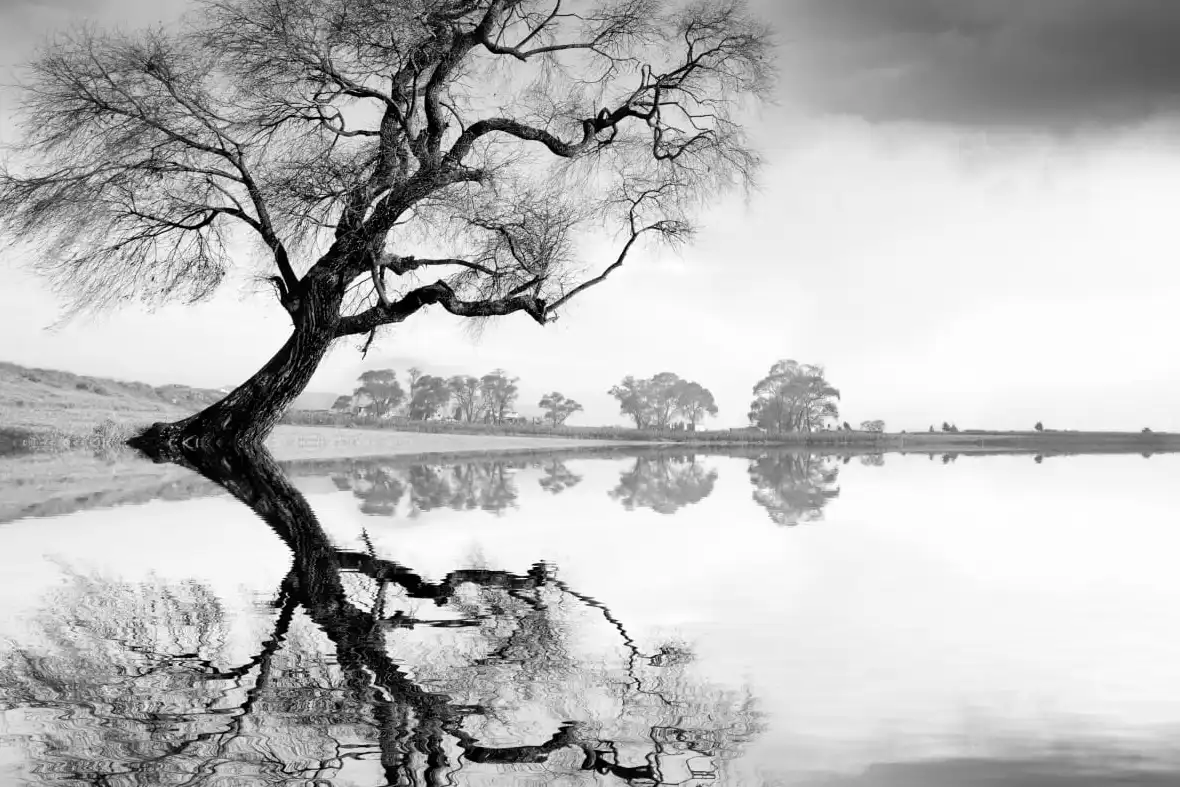 New Beginning Reflect Wall Art - Image 12