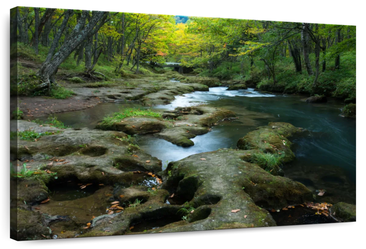 Nikko I Wall Art