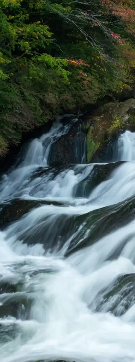 Nikko IV Wall Art - Image 18