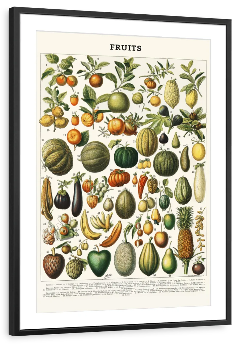 Nouveau Larousse Illustre - Fruits II Wall Art - Image 7