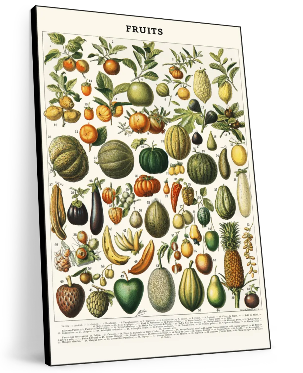 Nouveau Larousse Illustre - Fruits II Wall Art - Image 8
