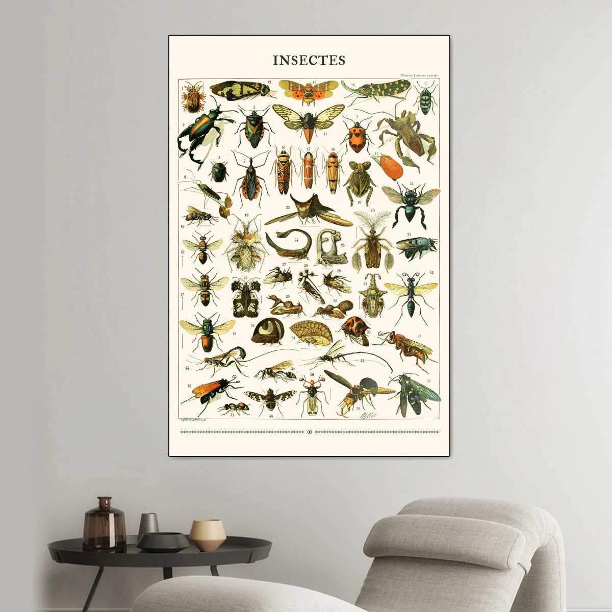 Nouveau Larousse Illustre - Insectes II Wall Art - Image 3