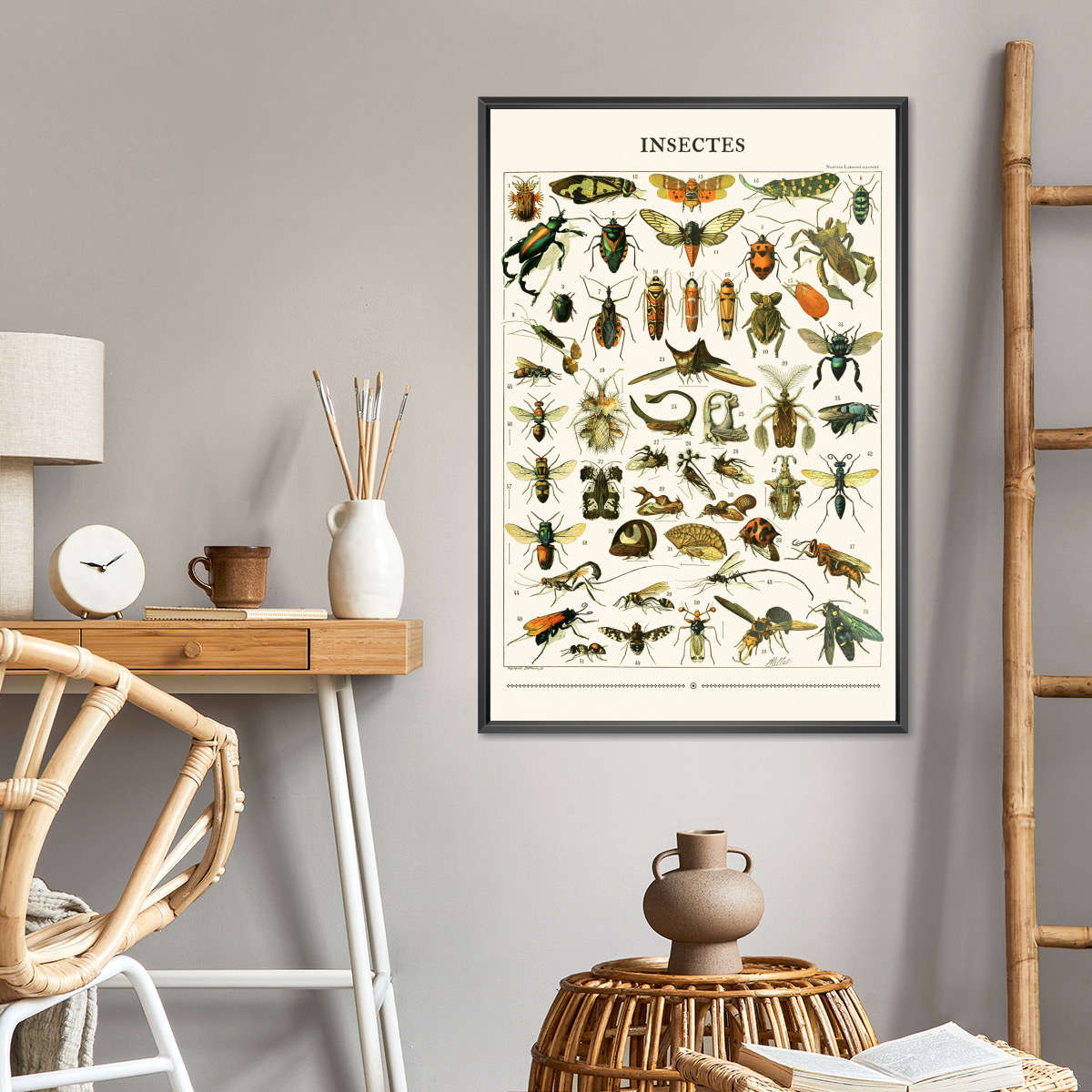 Nouveau Larousse Illustre - Insectes II Wall Art - Image 4