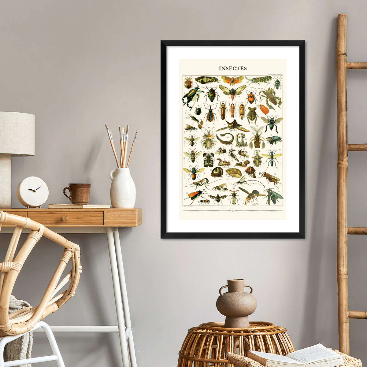 Nouveau Larousse Illustre - Insectes II Wall Art - Image 5