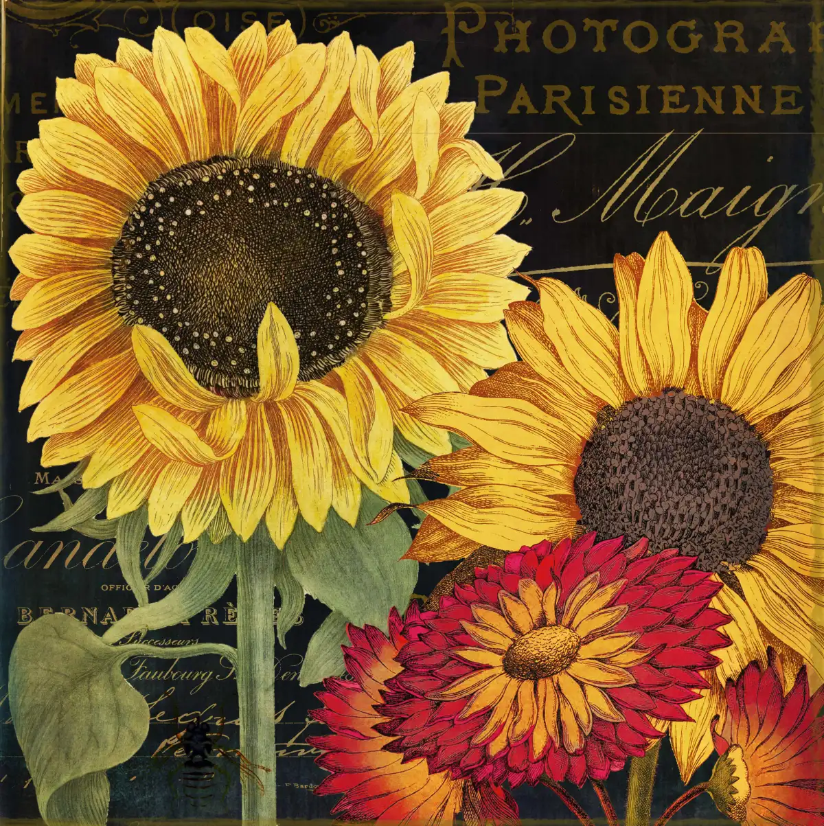 October Sun I Wall Art - Image 9