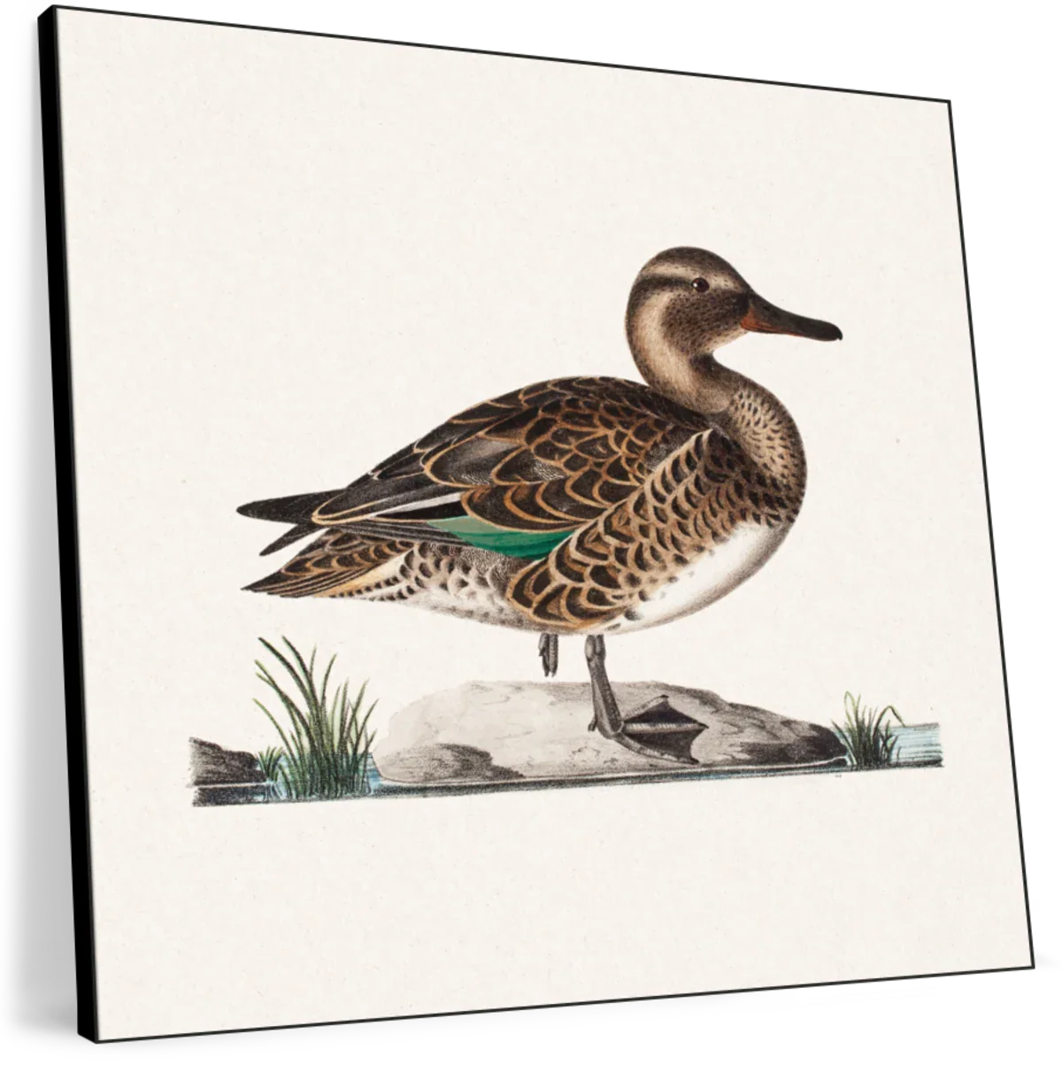 Old Teal Wall Art - Image 28