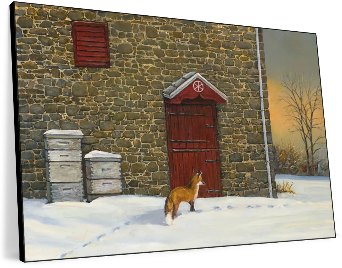Out Foxed Wall Art - Image 14