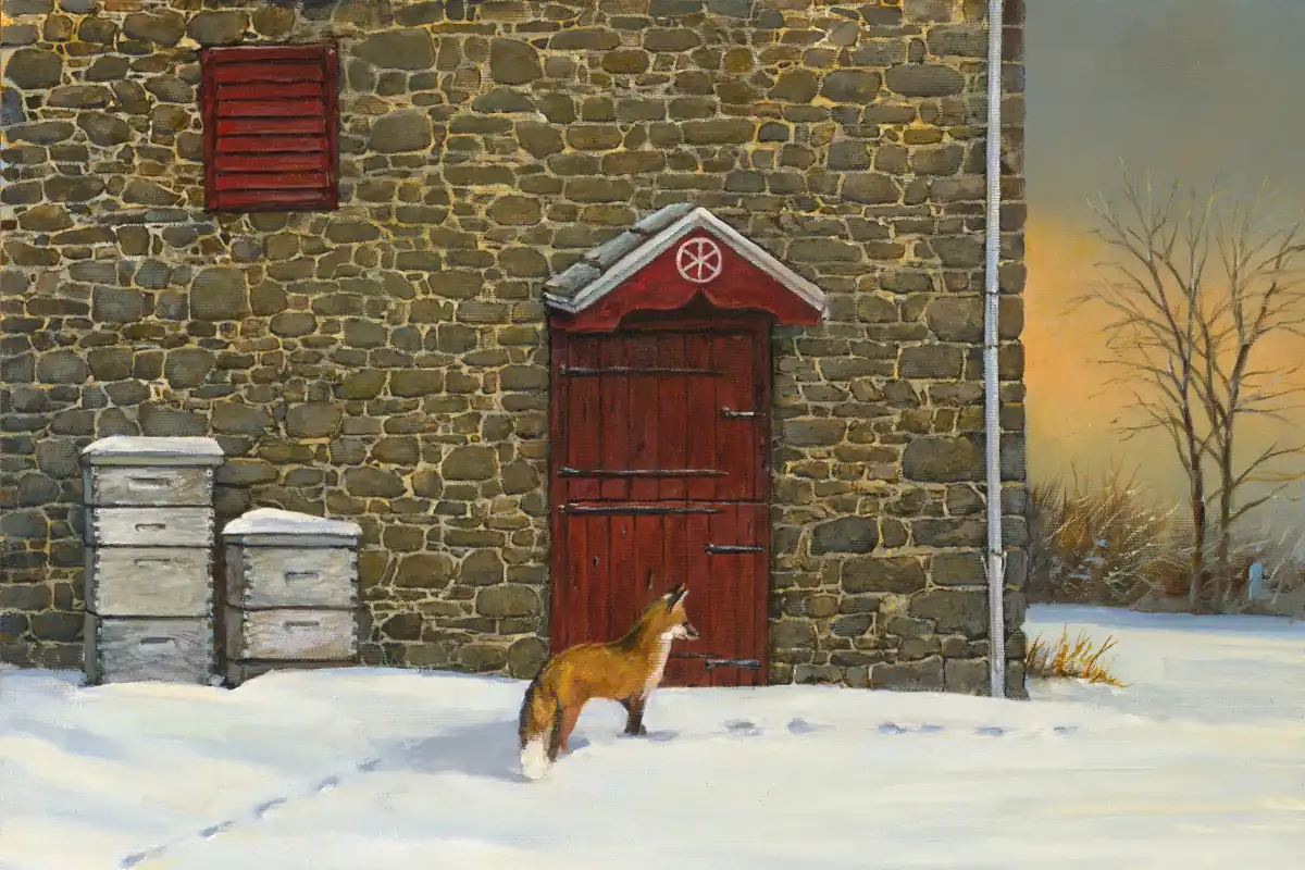 Out Foxed Wall Art - Image 16