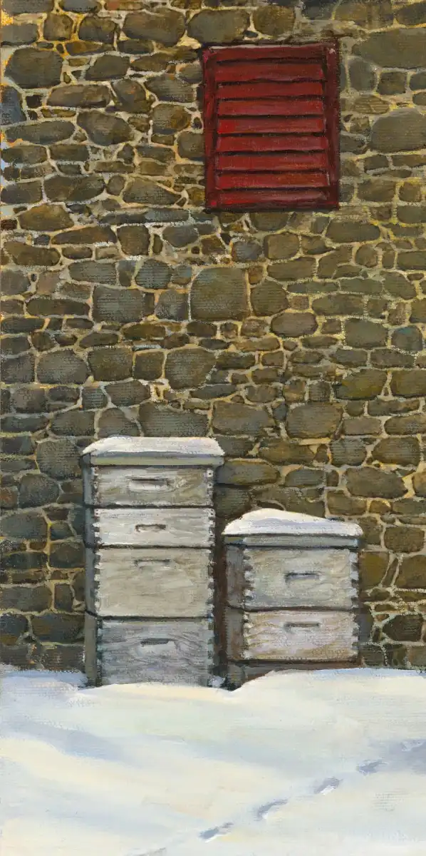 Out Foxed Wall Art - Image 17