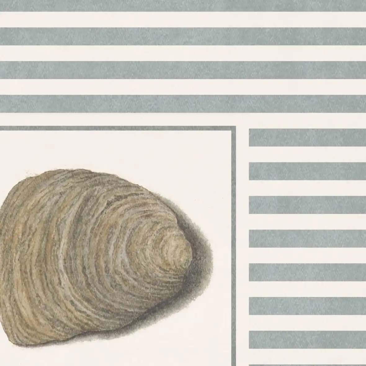 Oyster Shell Illustration Wall Art - Image 16