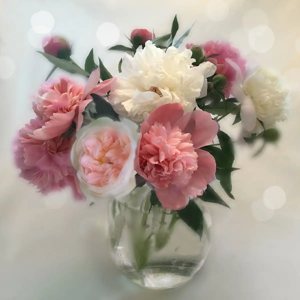Peony Magic I Wall Art - Image 12