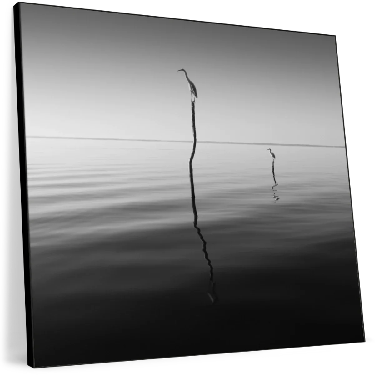 Perched Father And Son Wall Art - Image 8