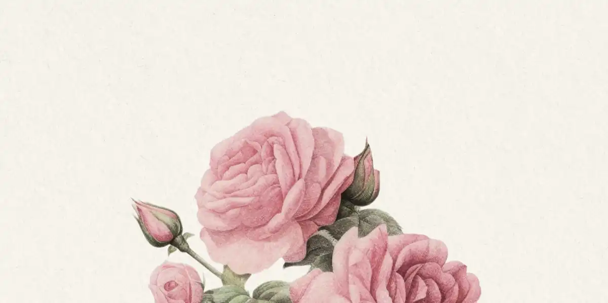 Pink Rose Cluster Wall Art - Image 14