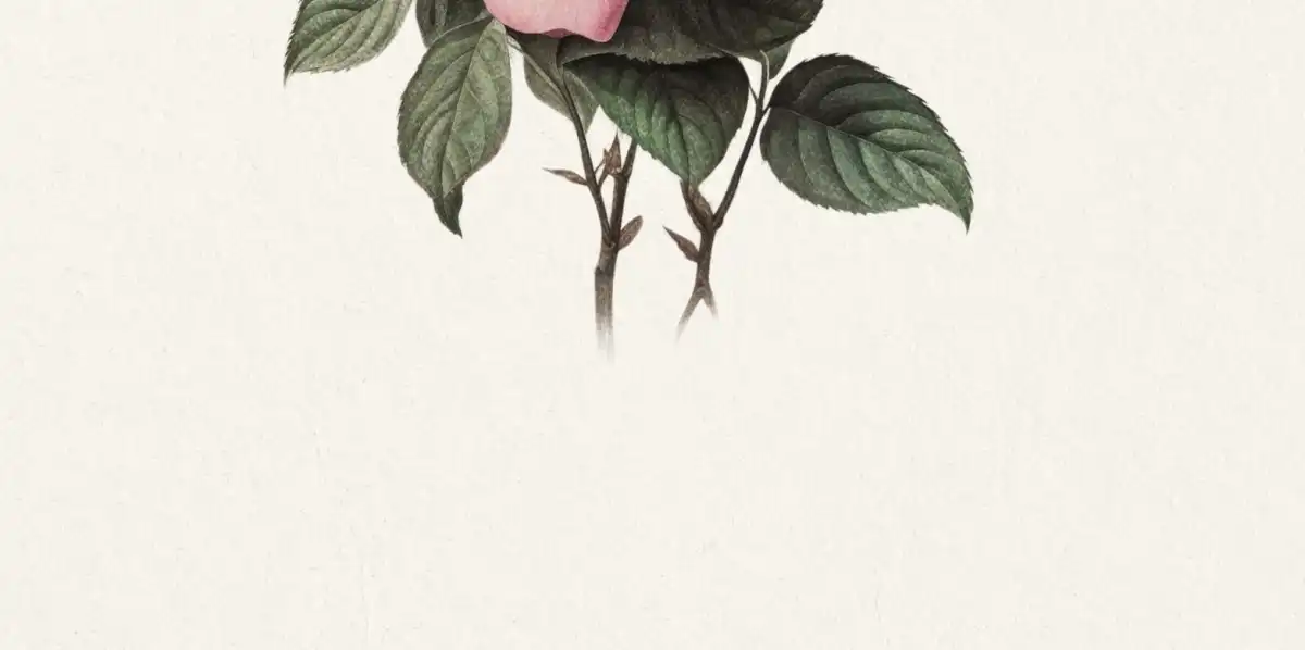 Pink Rose Cluster Wall Art - Image 16