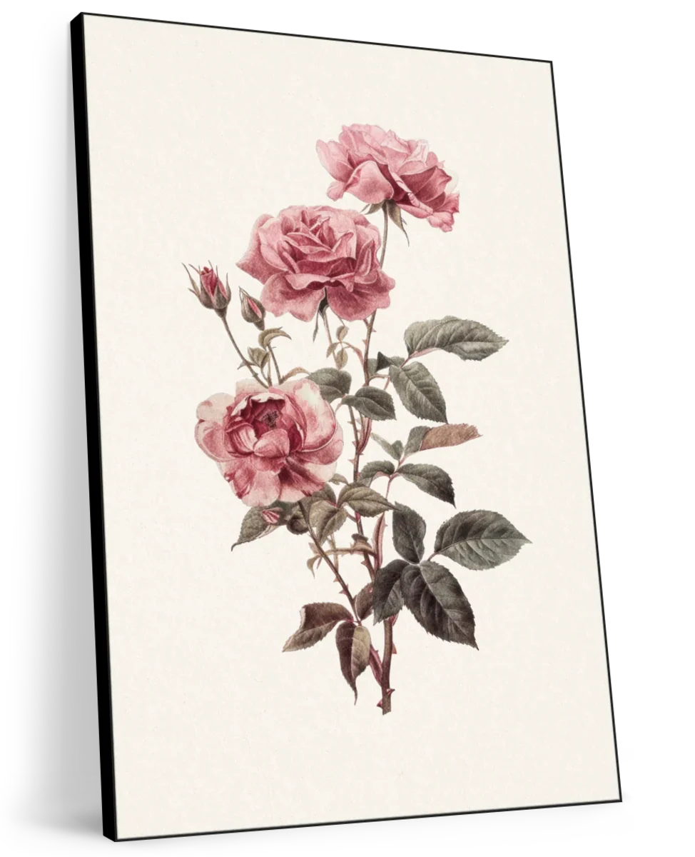 Pink Rose Stem Wall Art - Image 11