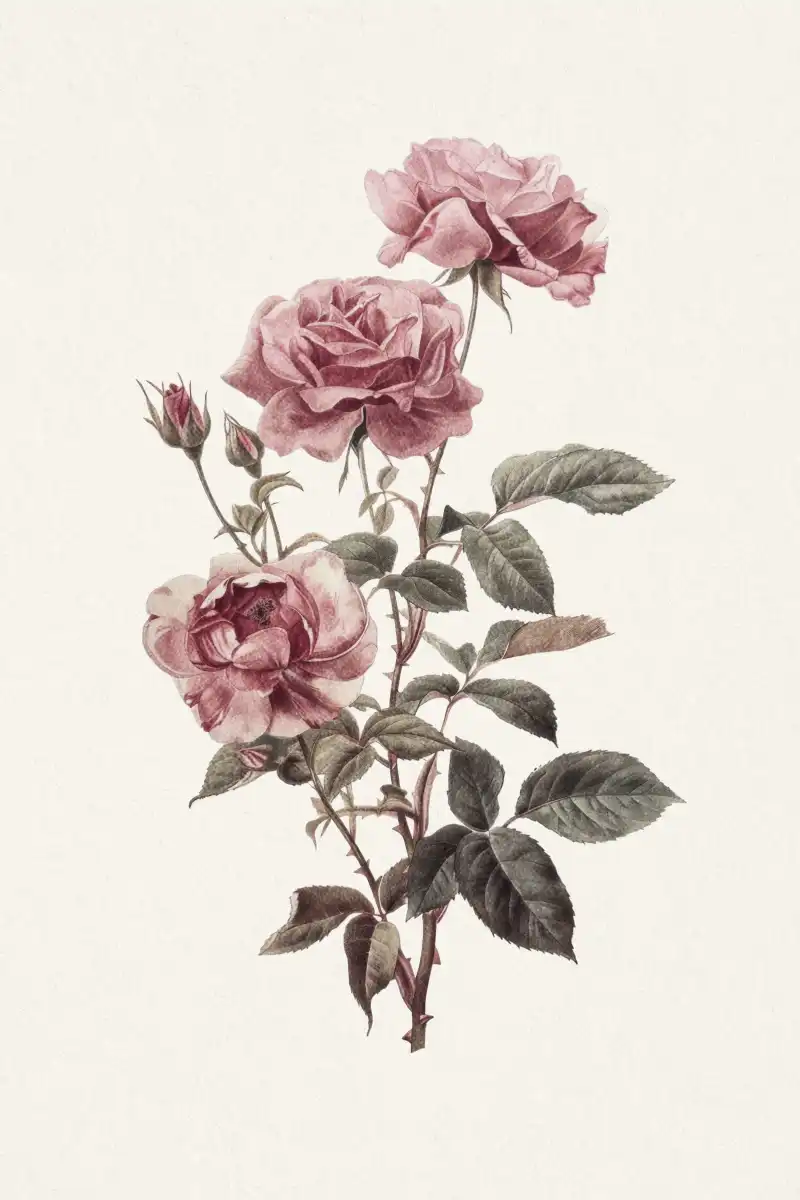 Pink Rose Stem Wall Art - Image 12