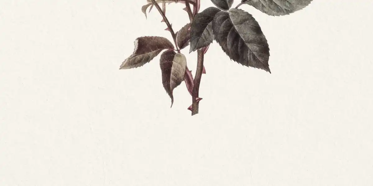 Pink Rose Stem Wall Art - Image 16