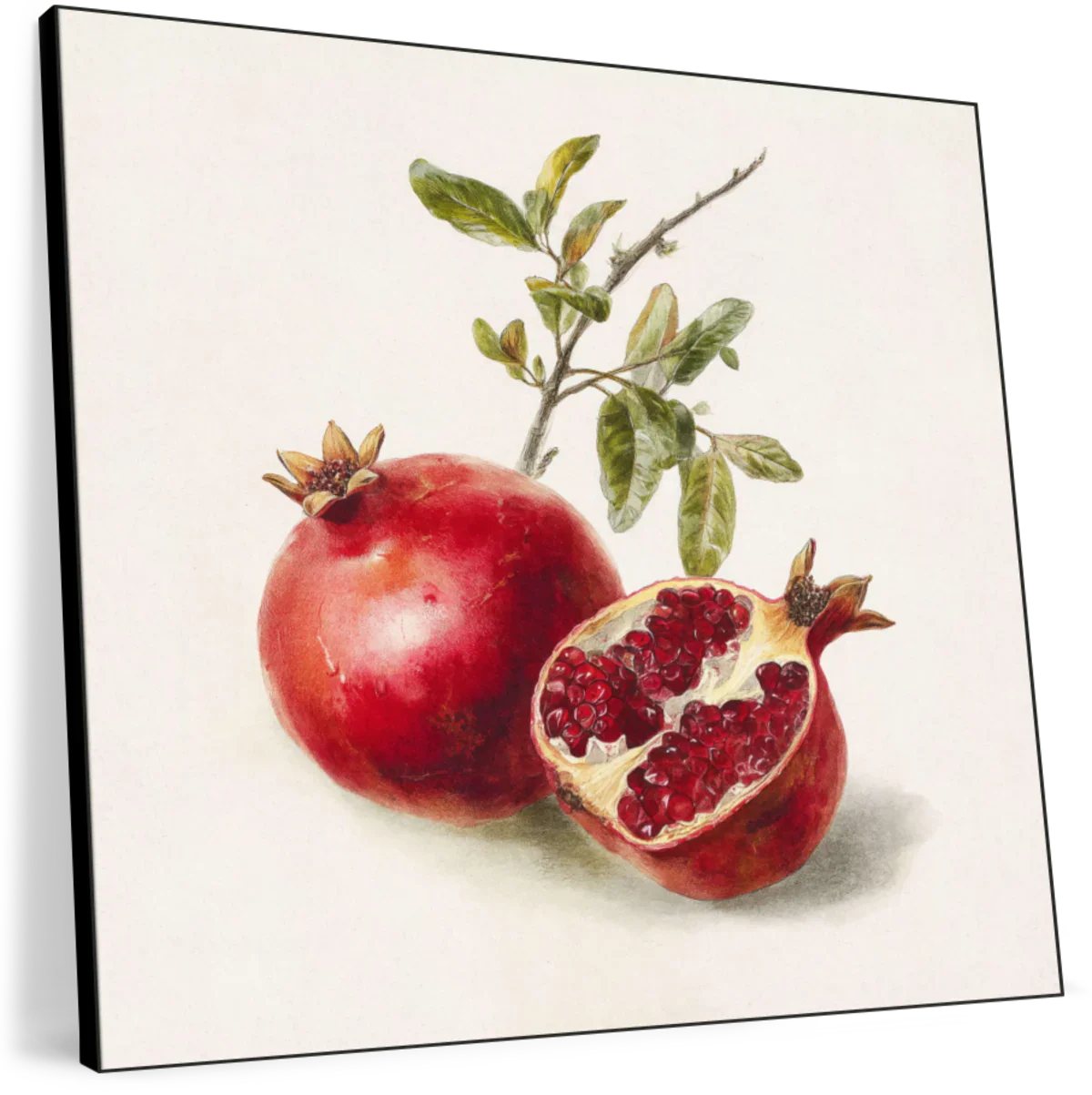 Pomegranate Botanical Study Art Wall Art - Image 11