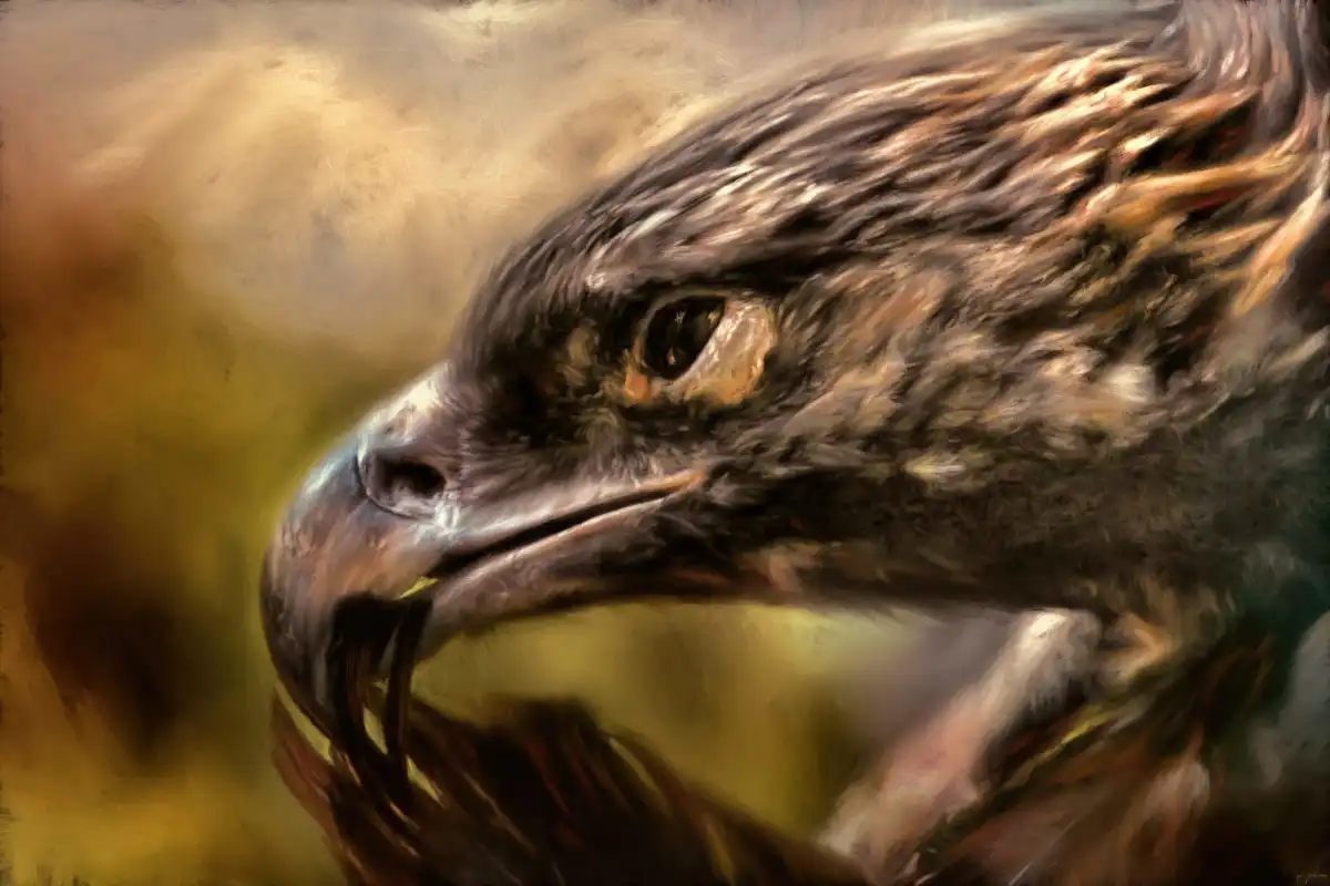 Preening Wall Art - Image 16