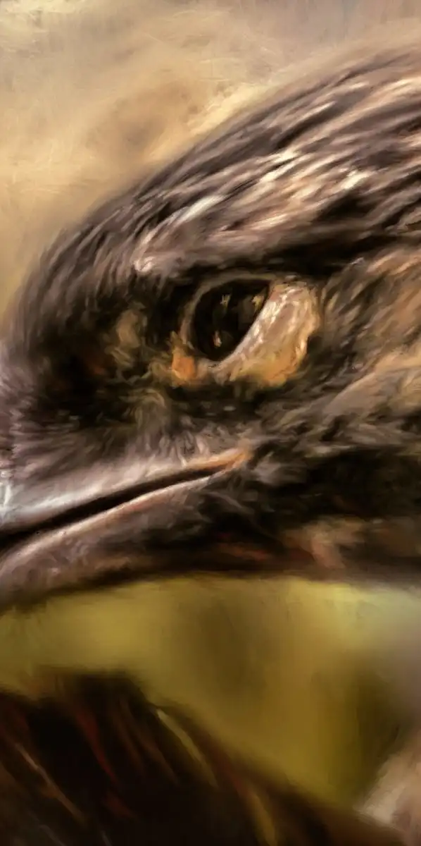 Preening Wall Art - Image 18