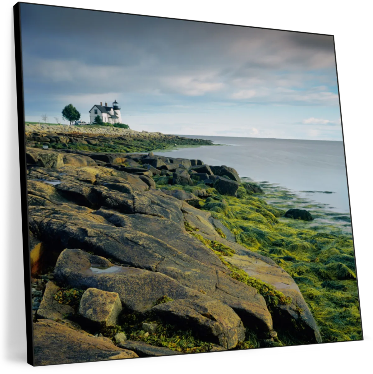 Prospect Light I Wall Art - Image 8